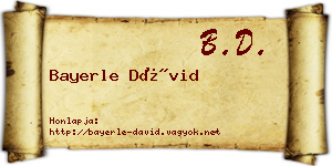 Bayerle Dávid névjegykártya